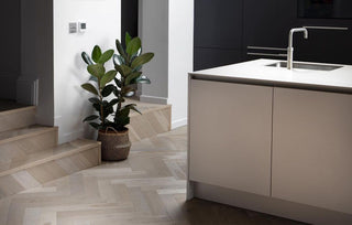 Coast European Engineered Oak
