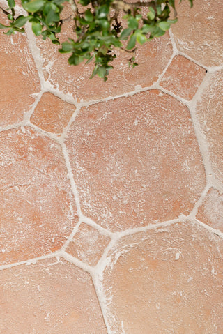 Marlborough Terracotta