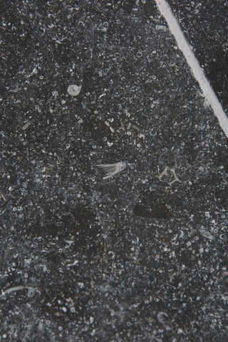 Tora Blue Tumbled Limestone