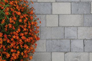 Wareham Tumbled & Etched Limestone